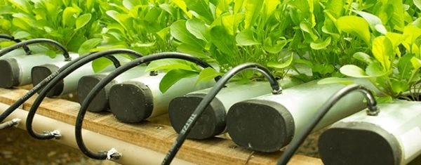 Plastic Pipes for Agricultural use – 1 Company, 10 Locations